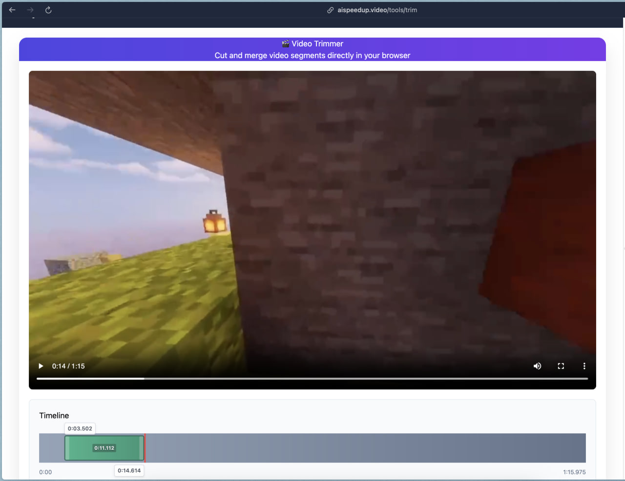 A video loaded with a section selected on the timeline